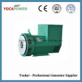 80kw Green Brushless Altenator Electric Generator
